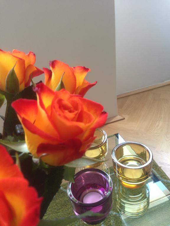 Apartment Vienna Living 部屋 写真